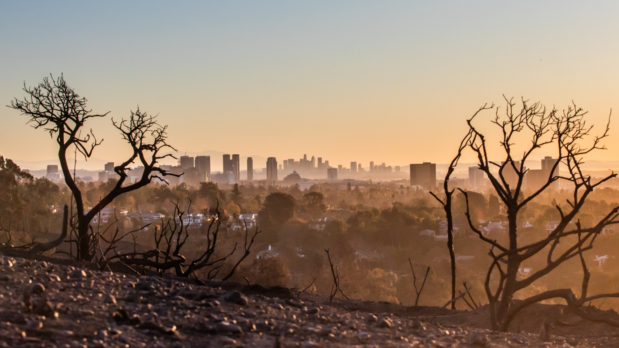 Burned trees from the Palisades Fire and dust blown by winds are seen from Will Rogers State Park, with Los Angeles in the background on January 15, 2025 in Los Angeles, California.C